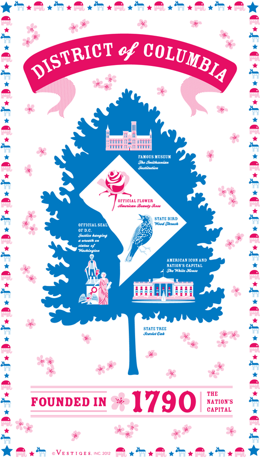 District of Columbia State created by artist Katie DeYoe